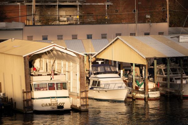 Примеры снимков на объектив Panasonic Lumix S 70-300mm F/4.5-5.6