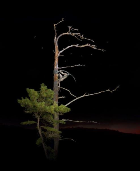 Мистическая фотография с претензией на искусство от фотохудожника Bear Kirkpatrick