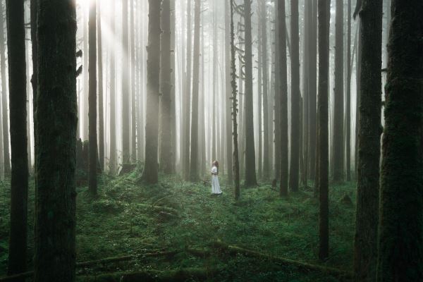 Шикарные автопортреты из путешествий от Elizabeth Gadd