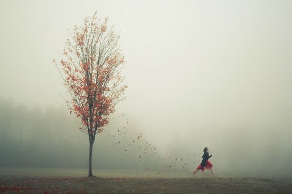 Шикарные автопортреты из путешествий от Elizabeth Gadd