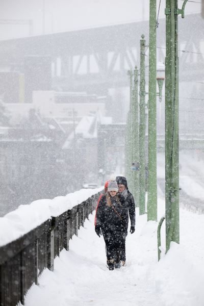 Примеры снимков на объектив Panasonic Lumix S 70-300mm F/4.5-5.6
