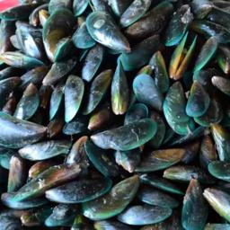 Морепродукты Новой Зеландии столкнулись с китайским запретом