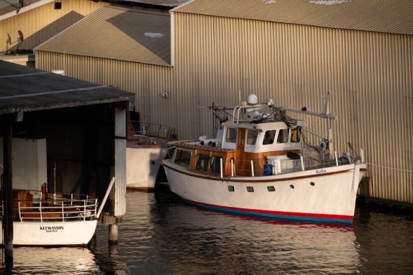 Примеры снимков на объектив Panasonic Lumix S 70-300mm F/4.5-5.6