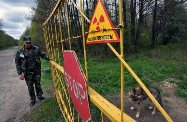 
Экологи заявили о вторичном радиоактивном загрязнении из-за лесных пожаров в зоне ЧАЭС
