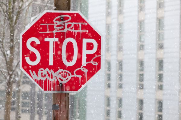 Примеры снимков на объектив Panasonic Lumix S 70-300mm F/4.5-5.6