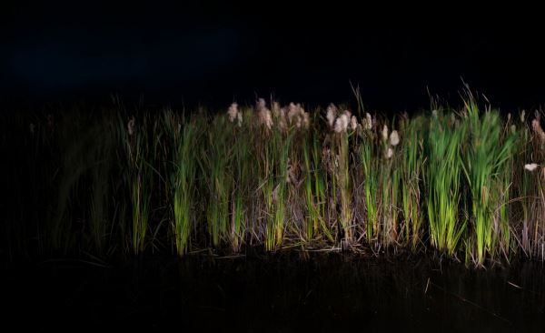 Мистическая фотография с претензией на искусство от фотохудожника Bear Kirkpatrick