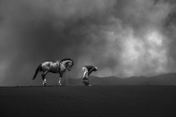 30 победителей Tokyo International Foto Awards 2020