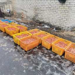 Торговцев браконьерскими морепродуктами лишили товара