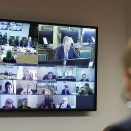 Сенаторы попросили активизировать вопрос с мышьяком