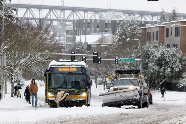 Примеры снимков на объектив Panasonic Lumix S 70-300mm F/4.5-5.6