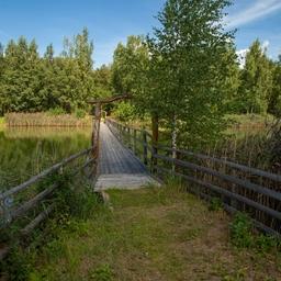 «Рыбные» поправки в Лесной кодекс приняли в первом чтении
