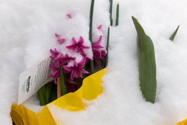 Примеры снимков на объектив Panasonic Lumix S 70-300mm F/4.5-5.6