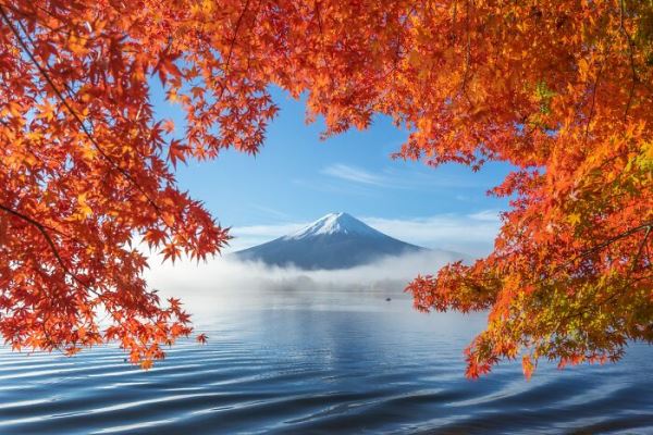 30 победителей Tokyo International Foto Awards 2020
