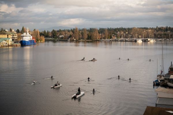 Примеры снимков на объектив Panasonic Lumix S 70-300mm F/4.5-5.6