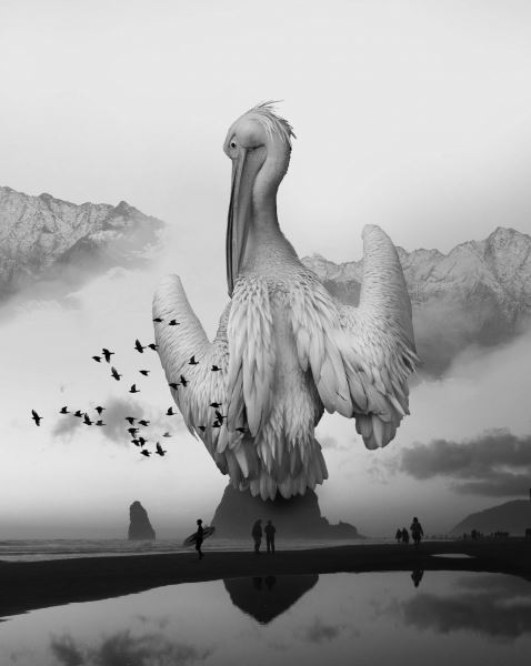Сюрреалистические фотоколлажи Дэвида Лоблоу