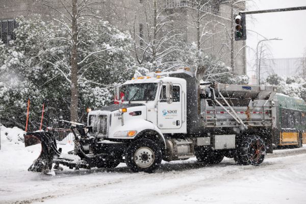 Примеры снимков на объектив Panasonic Lumix S 70-300mm F/4.5-5.6