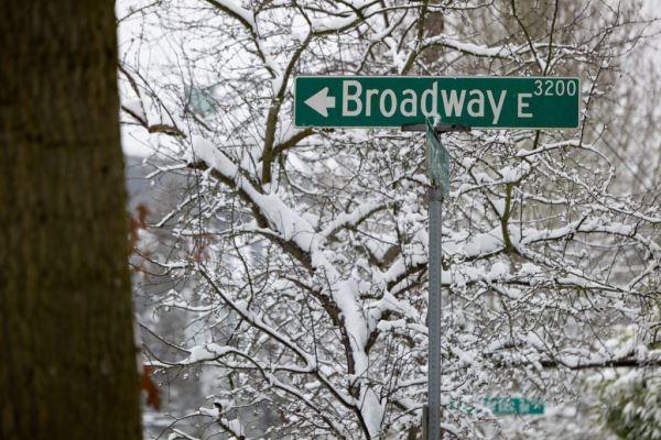 Примеры снимков на объектив Panasonic Lumix S 70-300mm F/4.5-5.6