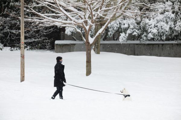 Примеры снимков на объектив Panasonic Lumix S 70-300mm F/4.5-5.6