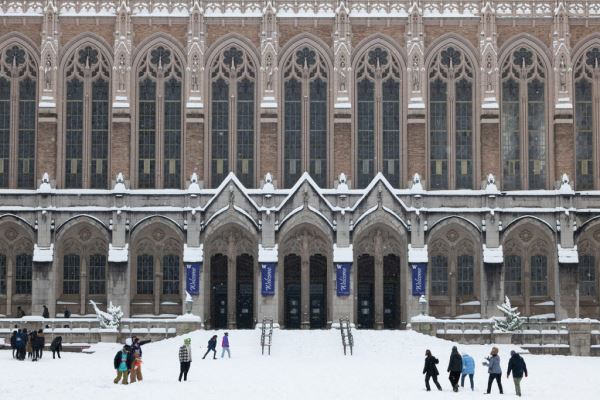 Примеры снимков на объектив Panasonic Lumix S 70-300mm F/4.5-5.6