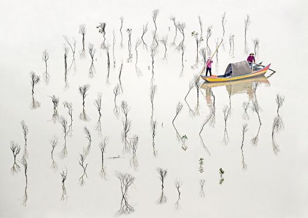 30 победителей Tokyo International Foto Awards 2020