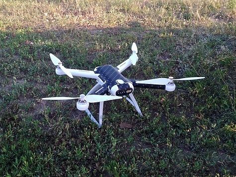 В Северной Осетии обнаружился пропавший кавказский барс