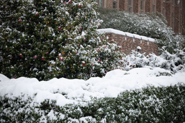 Примеры снимков на объектив Panasonic Lumix S 70-300mm F/4.5-5.6