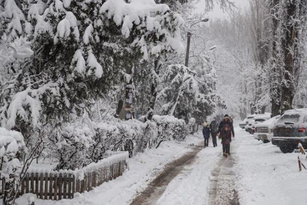 Одессу замело снегом: парализовано движение транспорта, падают деревья