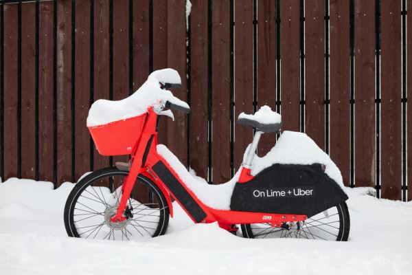 Примеры снимков на объектив Panasonic Lumix S 70-300mm F/4.5-5.6