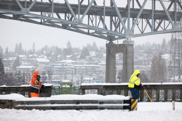 Примеры снимков на объектив Panasonic Lumix S 70-300mm F/4.5-5.6