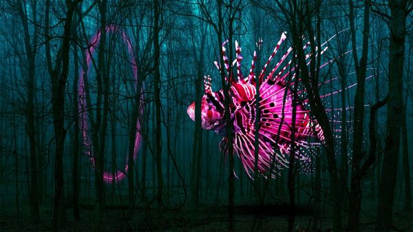Сюрреалистические фотоколлажи Дэвида Лоблоу