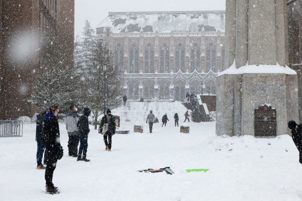 Примеры снимков на объектив Panasonic Lumix S 70-300mm F/4.5-5.6