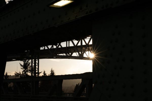 Примеры снимков на объектив Panasonic Lumix S 70-300mm F/4.5-5.6