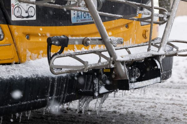 Примеры снимков на объектив Panasonic Lumix S 70-300mm F/4.5-5.6