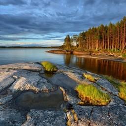 Карельским форелеводам упростят работу в лесах