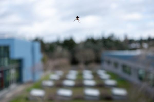 Примеры снимков на объектив Fujinon XF 27mm F/2.8 R WR