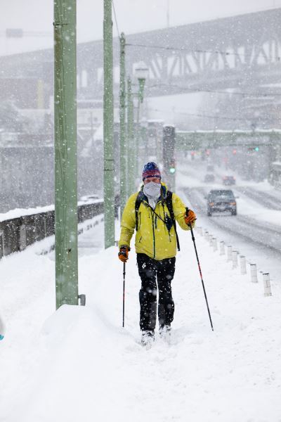 Примеры снимков на объектив Panasonic Lumix S 70-300mm F/4.5-5.6