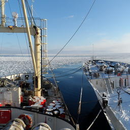 Россия и США готовы сплотиться против загрязнения морей