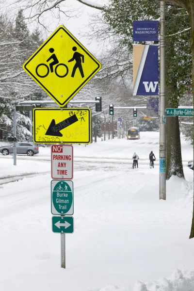 Примеры снимков на объектив Panasonic Lumix S 70-300mm F/4.5-5.6