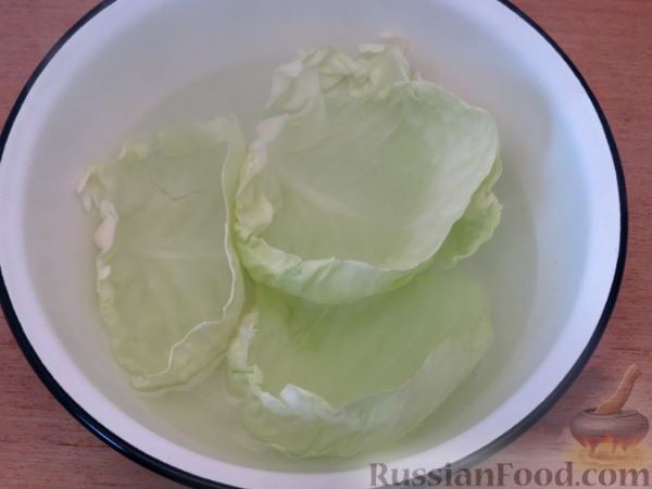 Голубцы с курицей, овсянкой и стручковой фасолью, в томатном соусе