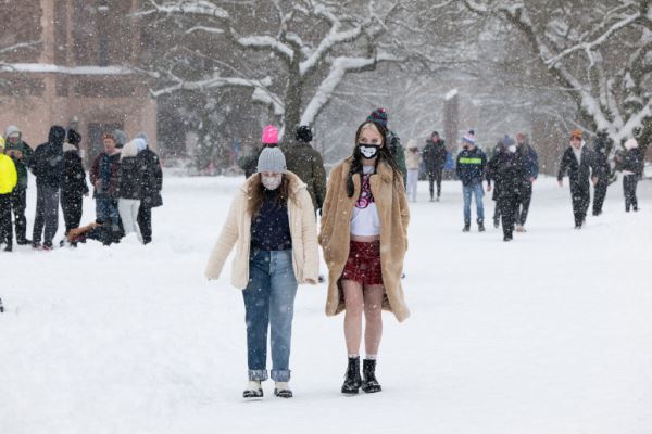 Примеры снимков на объектив Panasonic Lumix S 70-300mm F/4.5-5.6