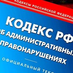 Химические стоки погубили обитателей аквафермы