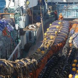 Экспортировать рыбопродукцию в Китай через Пусан станет проще