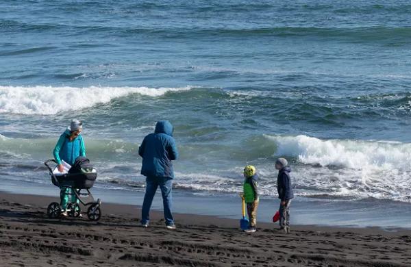 
Водоросли в Средиземном море могут собирать пластиковый мусор
