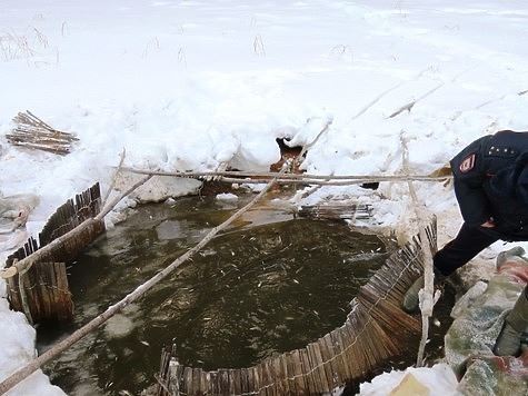 Браконьера нашли по следам