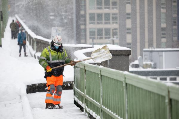 Примеры снимков на объектив Panasonic Lumix S 70-300mm F/4.5-5.6