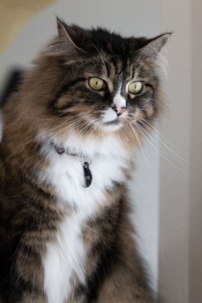 Примеры снимков на объектив Panasonic Lumix S 70-300mm F/4.5-5.6