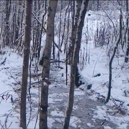 Сотрудника аквафермы оштрафовали за грязные стоки