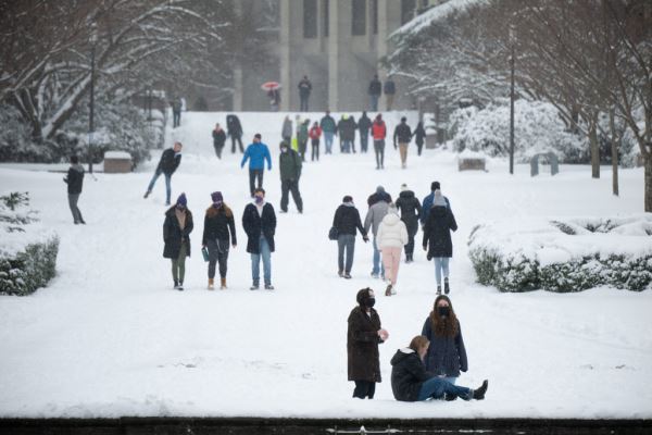 Примеры снимков на объектив Panasonic Lumix S 70-300mm F/4.5-5.6