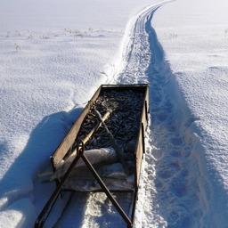 Охотник за рыбной молодью не сумел сбежать