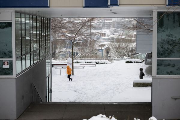 Примеры снимков на объектив Panasonic Lumix S 70-300mm F/4.5-5.6